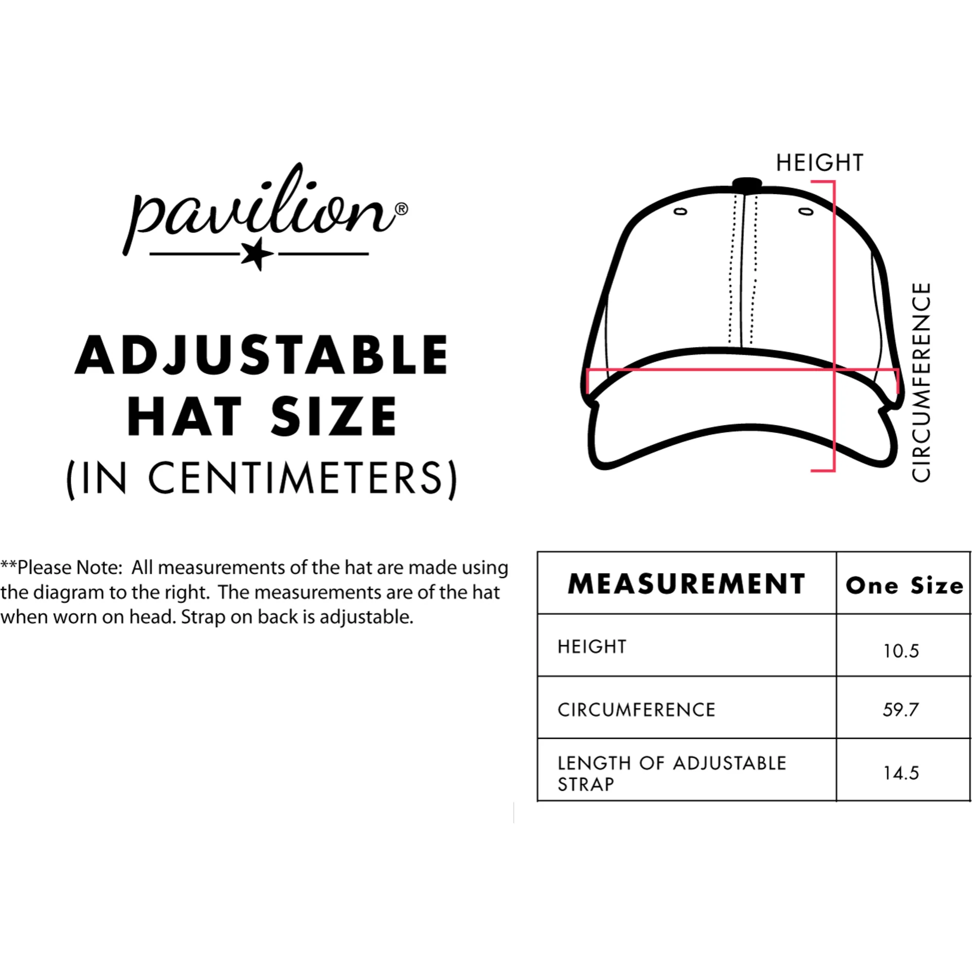 Farm People Dark Gray Adjustable Hat - Image 9